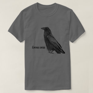 Camiseta Cuervo Negro Con Nombre Científico