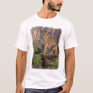 Camiseta Cugar y fotografías