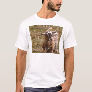 Camiseta Cultivo de cabras