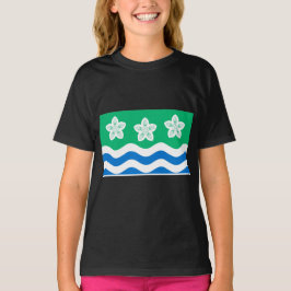 Camiseta Cumberland (condado del Reino Unido)
