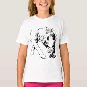 Camiseta Curiosidad en líneas monocromáticas