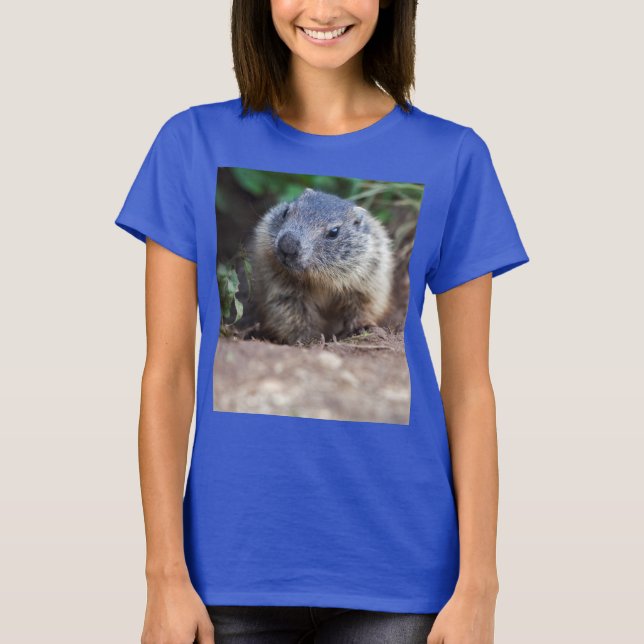 Camiseta Curioso Baby Marmot Tee (Anverso)