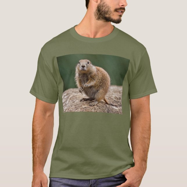 Camiseta Curious Prairie Dog Tee (Anverso)