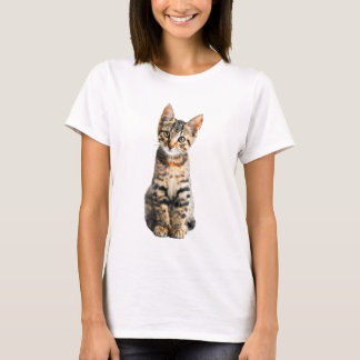 Camiseta Curious Wide Eyed Tabby Kitten Portrait Women