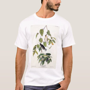 Camiseta Curruca otoñal