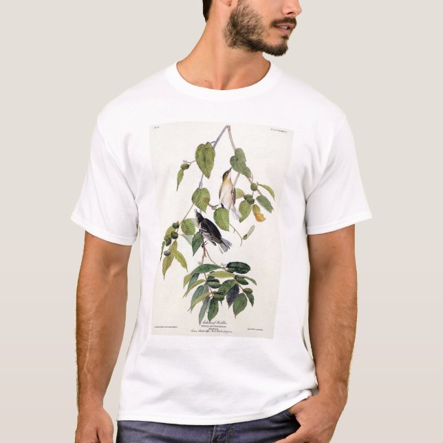 Camiseta Curruca otoñal (Anverso)