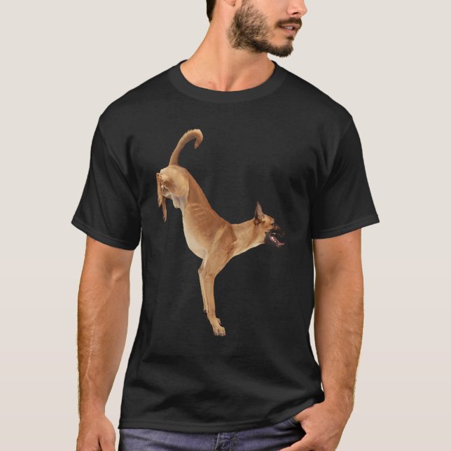 Camiseta Cute Belgian Malinois (Anverso)