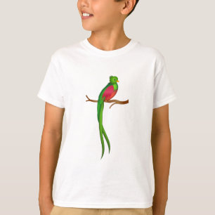 Camiseta Cute bird Quetzal