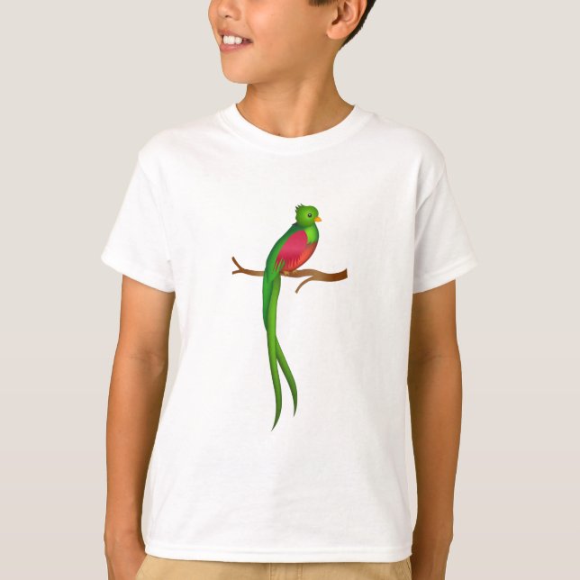 Camiseta Cute bird Quetzal (Anverso)