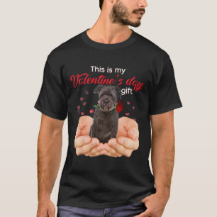 Camiseta Cute Bouvier Des Flandres Este Es Mi Valentine Da