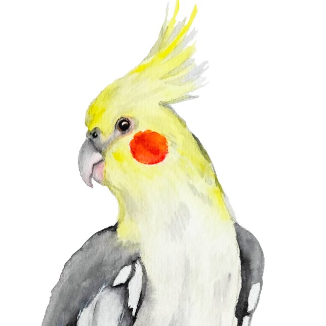 Camiseta Cute Cockatiel Watercolor Parrot. (Subido por el creador)