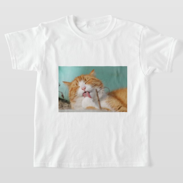 Camiseta Cute Orange Cat Grooming (Distribución)