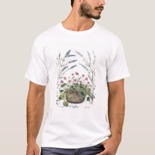 Camiseta Cyclamen y lavanda: 1.Cyclamen Romanum; 2.Spica