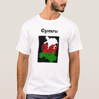 Camiseta Cymru