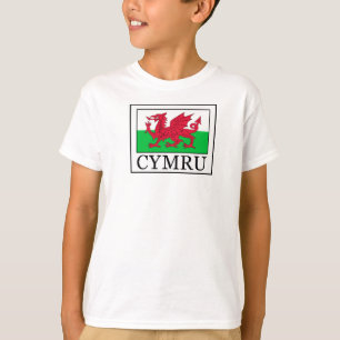 Camiseta Cymru