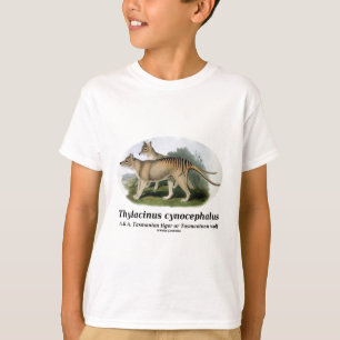 Camiseta Cynocephalus del Thylacinus (tigre o lobo tasmano)