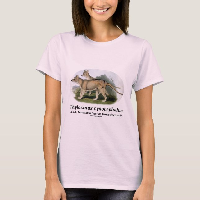Camiseta Cynocephalus del Thylacinus (tigre o lobo tasmano) (Anverso)