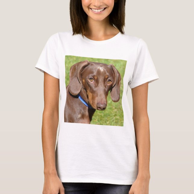 Camiseta Dachshund (Anverso)