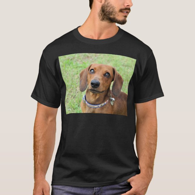 Camiseta Dachshund (Anverso)