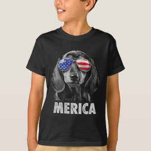 Camiseta Dachshund 4 de julio Merica Hombres Bandera Americ