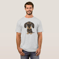 Dachshund de cabello alambrado| Perro de caricatur
