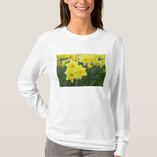 Camiseta Daffodils RF)