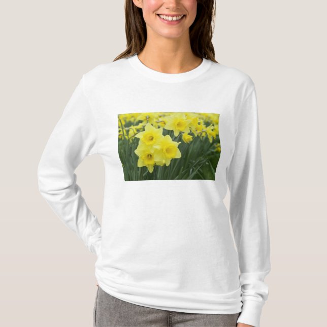 Camiseta Daffodils RF) (Anverso)