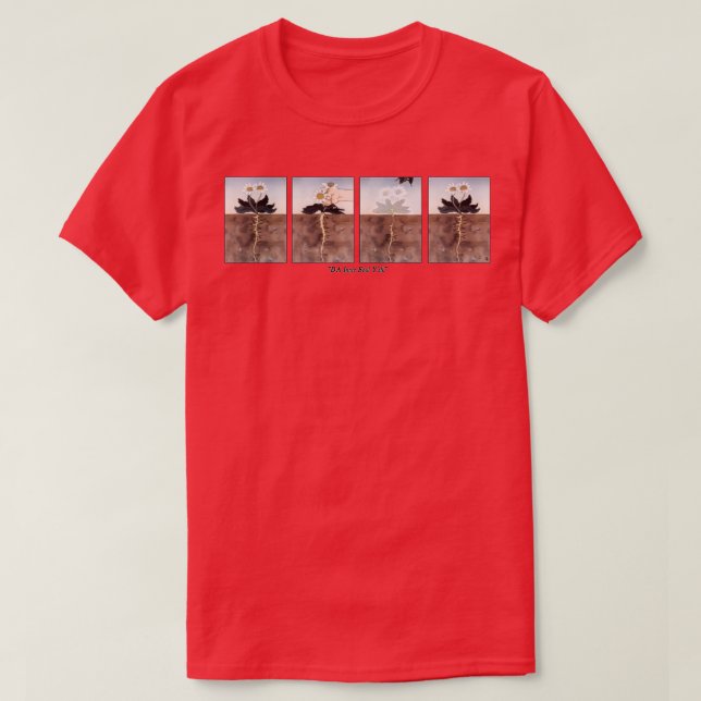 CAMISETA DAISY (Diseño del anverso)