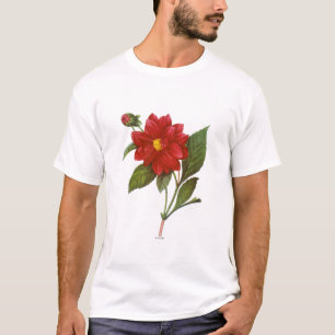 Camiseta Dalia (dalia Pinnata)
