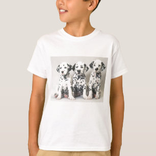 CAMISETA DALMATIANS