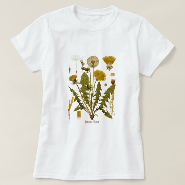 Camiseta Dandelion (Diseño del anverso)