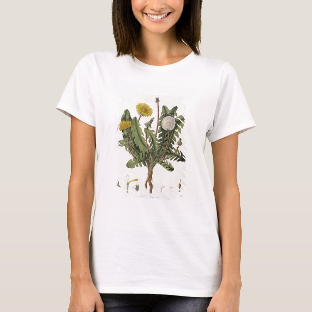 Camiseta Dandelion (grabado de colores) (Anverso)