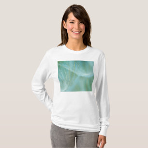 Camiseta Dandelion macro