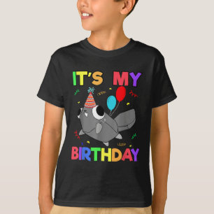Camiseta Dandys World Pebble Cumpleaños Decoración Para Niñ