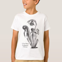 Darlingtonia californica, planta carnívora