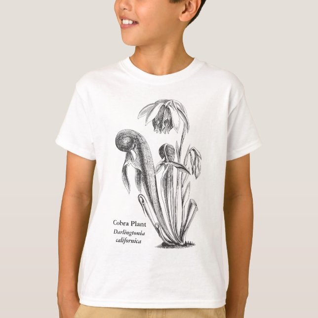 Camiseta Darlingtonia californica, planta carnívora (Anverso)