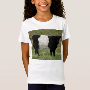 Camiseta Dartmoor ceñió la mirada del becerro de Galloway