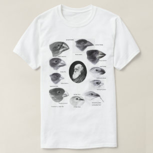 Camiseta Darwin's finches