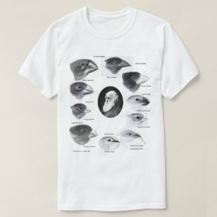 Camiseta Darwin's finches