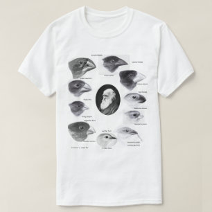 Camiseta Darwin's finches