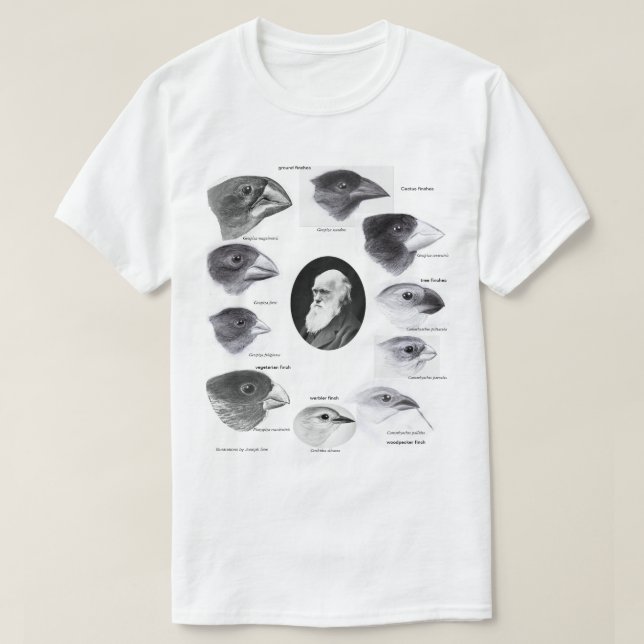 Camiseta Darwin's finches (Diseño del anverso)