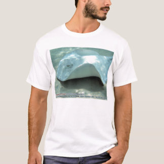 Camiseta Dasyatis americana (pastinaca meridional del