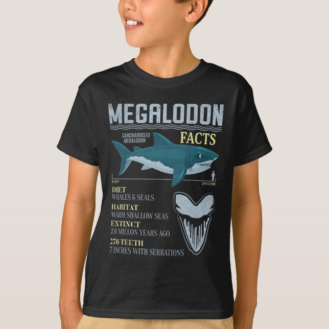 Camiseta Datos de Megalodón Diente de Tiburón Prehistórico  (Anverso)