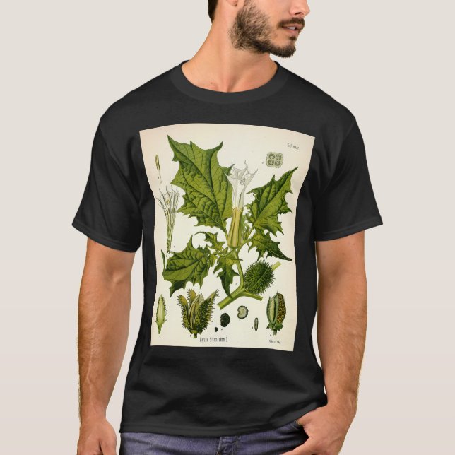 Camiseta Datura Stramonium. Vintage botánico (Anverso)