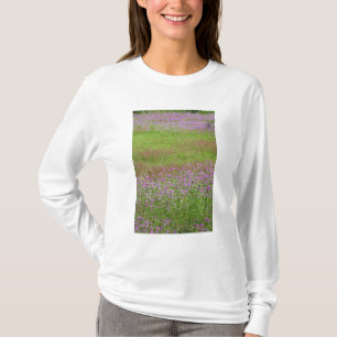 Camiseta Daucus carota creciendo