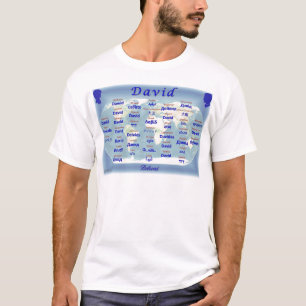 Camiseta David