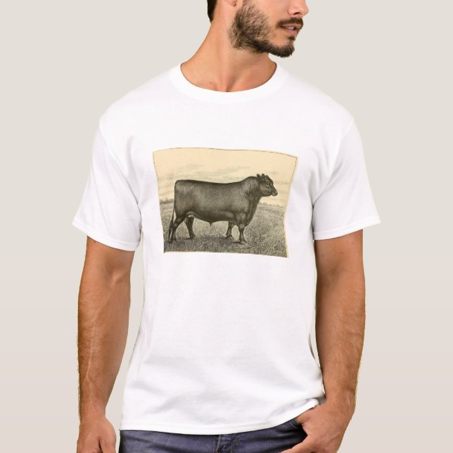Camiseta de Aberdeen Angus (Anverso)