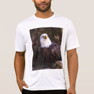 Camiseta de águila calva