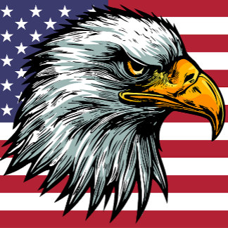 Camiseta de águila calva de Patriot