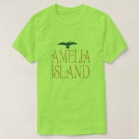 Camiseta de Amelia Island la Florida